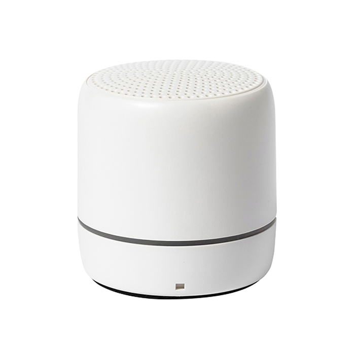 Rabs Speaker