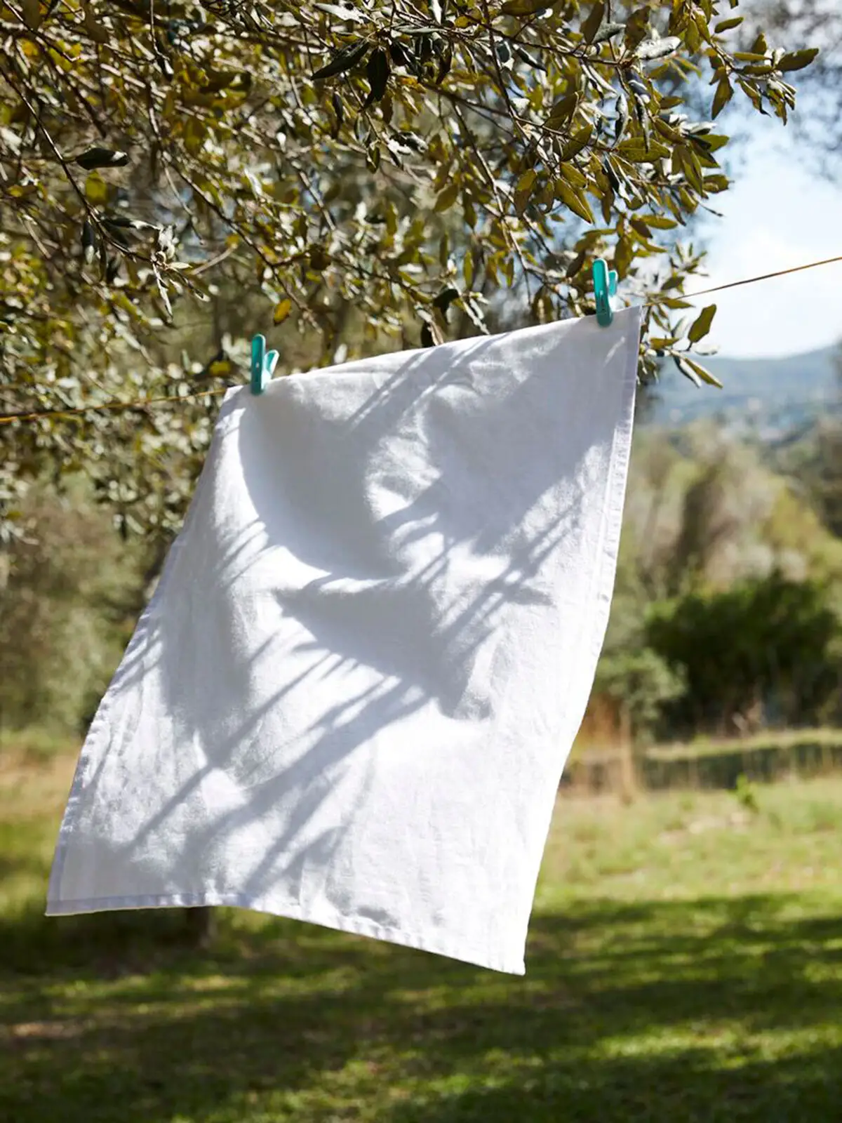 Tea Towel