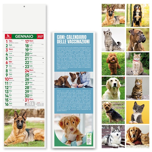 [PRT-PA191] Cani E Gatti