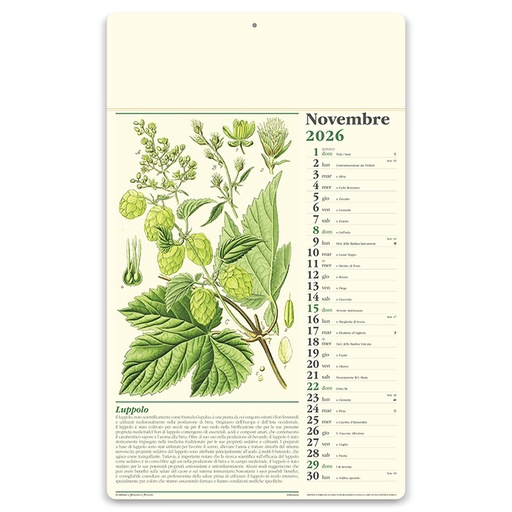 [PRT-PA011] Erboristeria