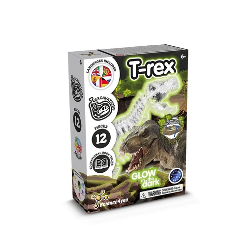 Fossil Excavation Kit I. Gioco educativo per bambini