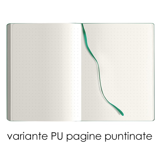 Notes Maxi Calamus