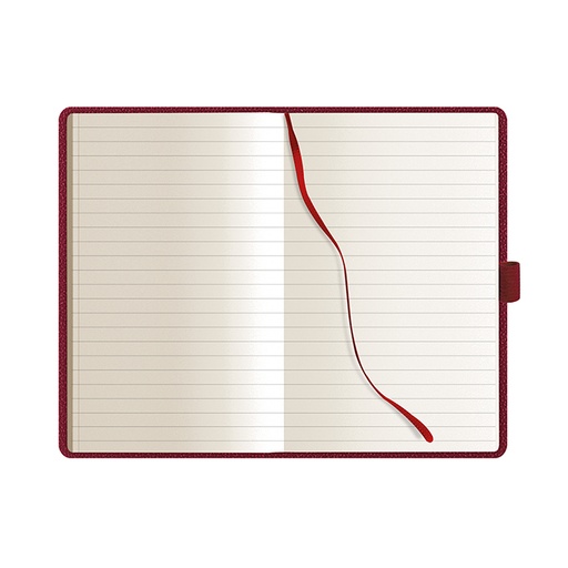 Notes Pen Class