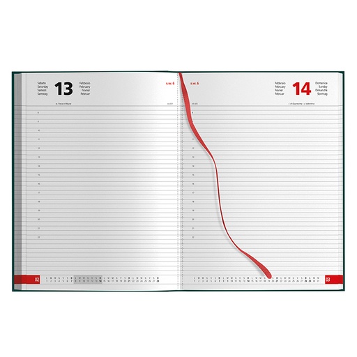 Agenda Giornaliera Maxi
