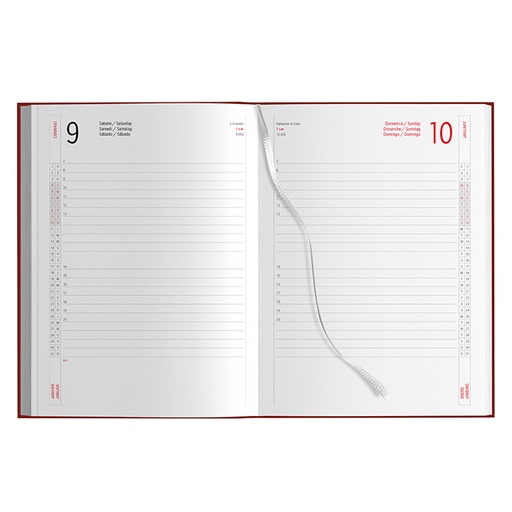 Agenda Giornaliera
