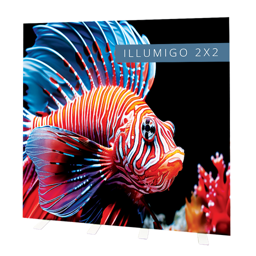 Illumigo 2X2