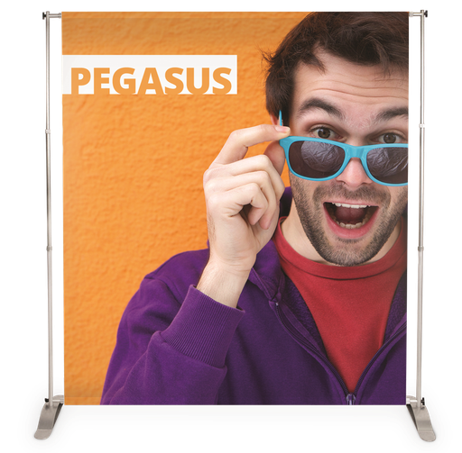 Pegasus