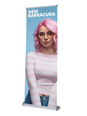 Rollup New Barracuda
