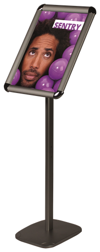 Sentry